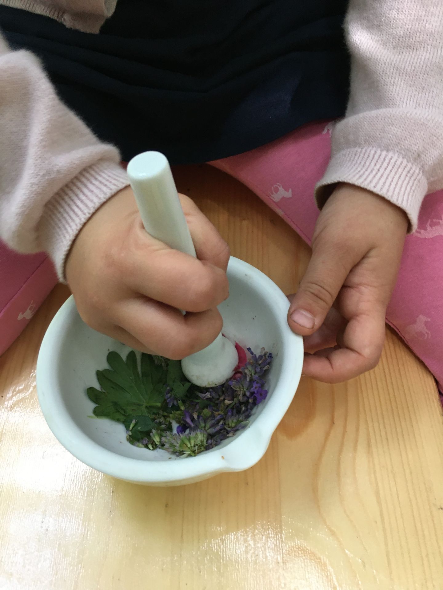 3-tägige Ferienaktion: Werkstatt Natur – entdecken, bauen und kochen im Grünen
