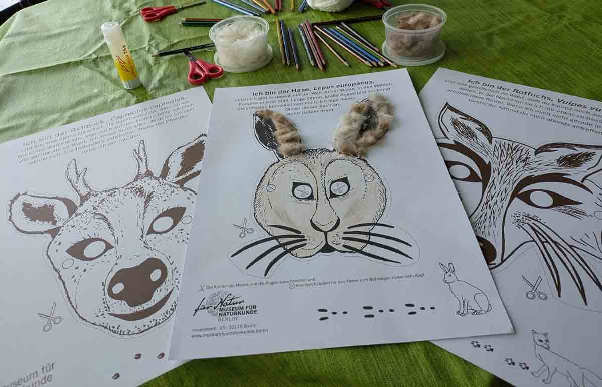 Karneval der Tiere – Verwandlungskunst im Tierreich