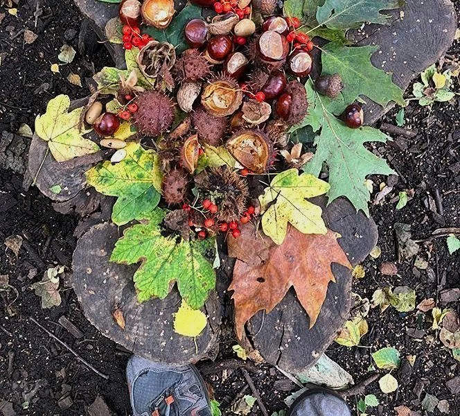 Familientour: Herbstabenteuer im Park