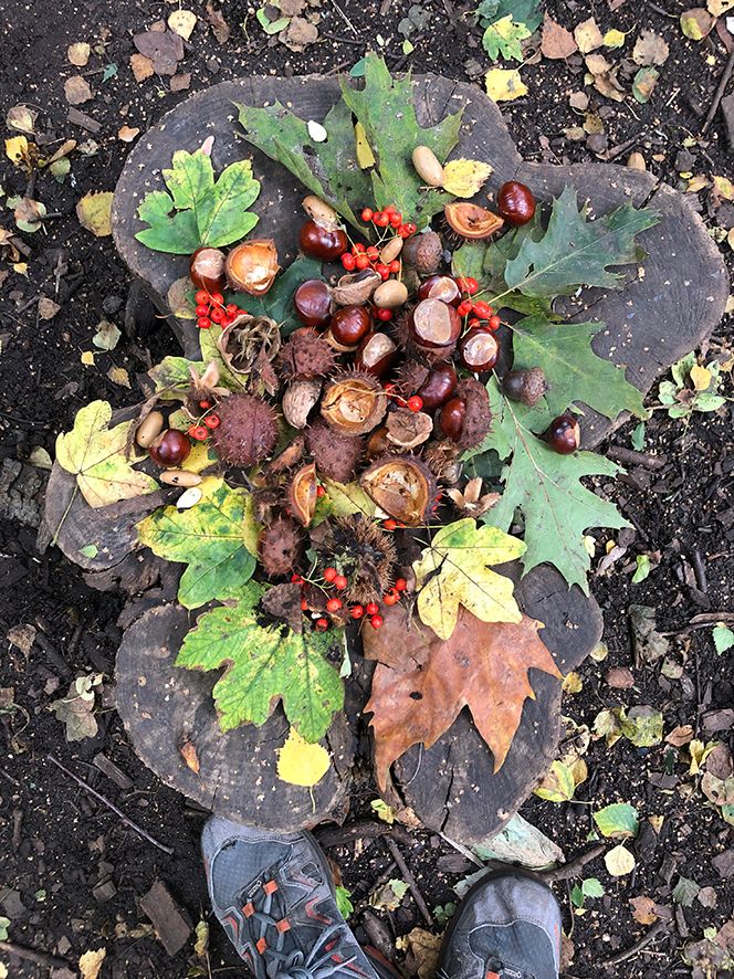 Familientour: Herbstabenteuer im Park