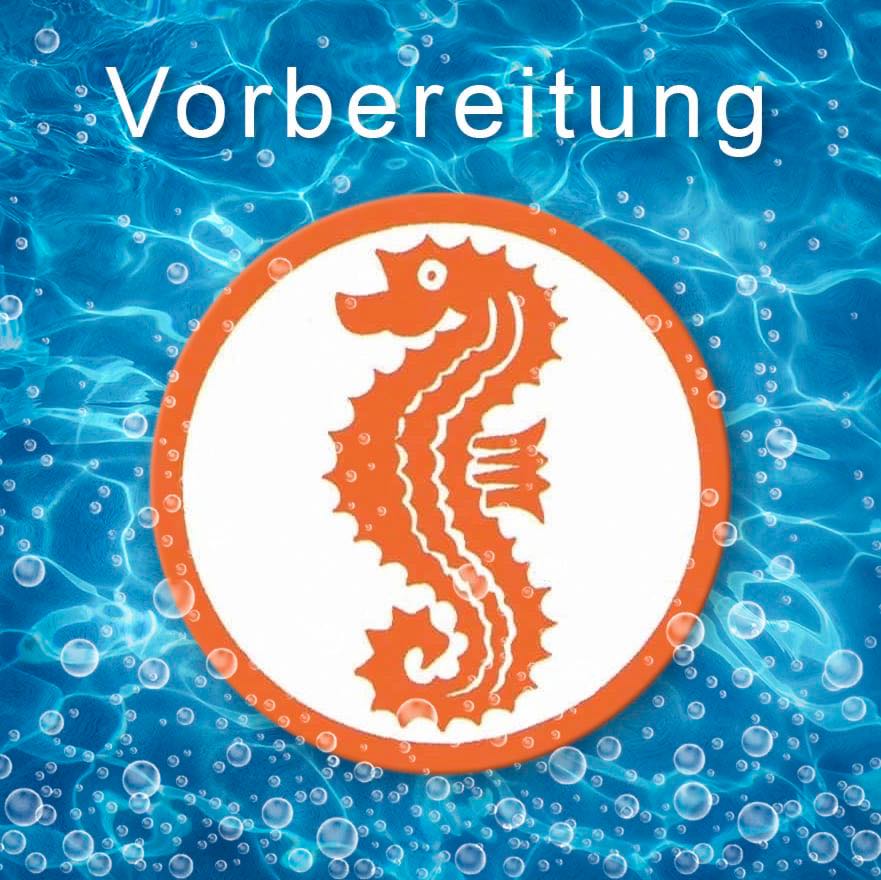 Vorbereitung Seepferdchen Kurs