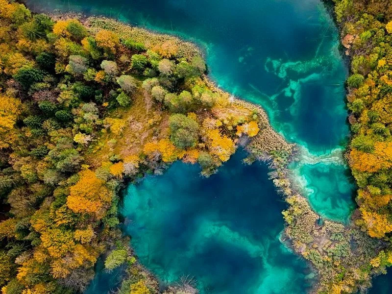 Naturfilm-Mittwoch / European Wildlife Film Awards: Faszination Europa - Ungezähmte Flüsse