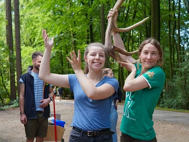 Wild- und Waldrallye