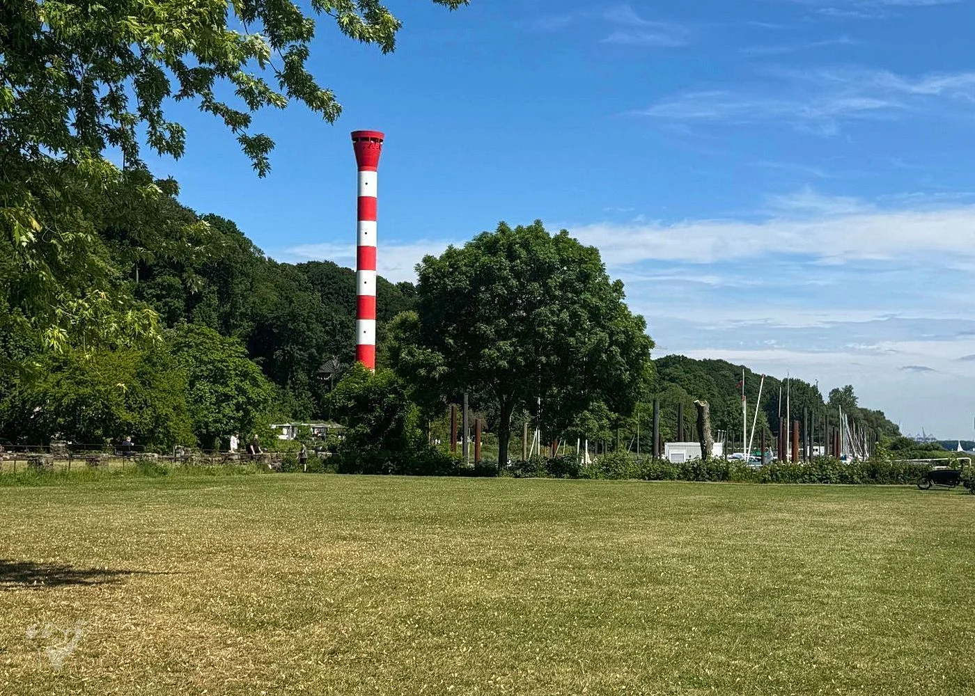 Baumschaukeln an der Elbe – Foto 12