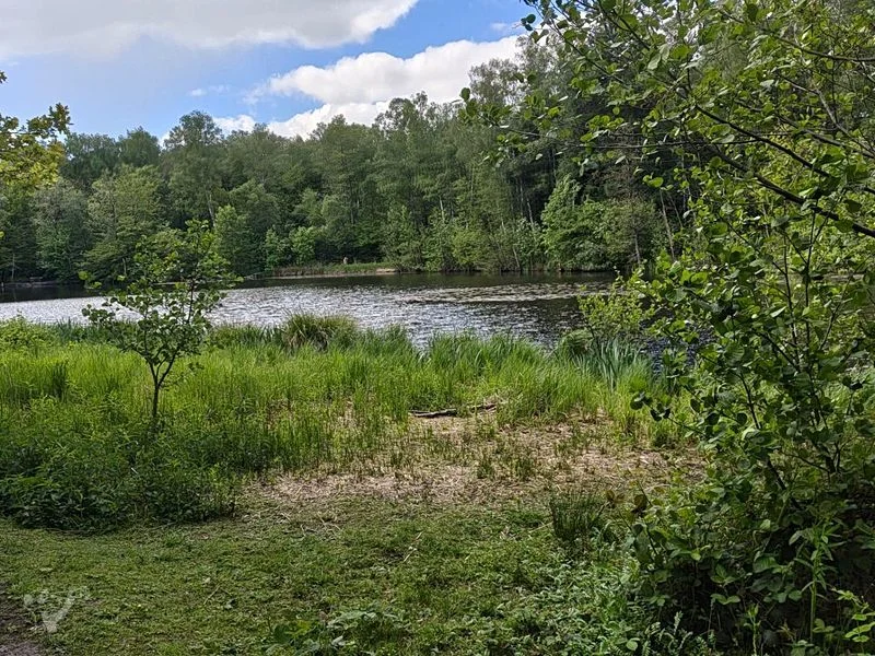 Naturschutzgebiet Raakmoor – Bild 8