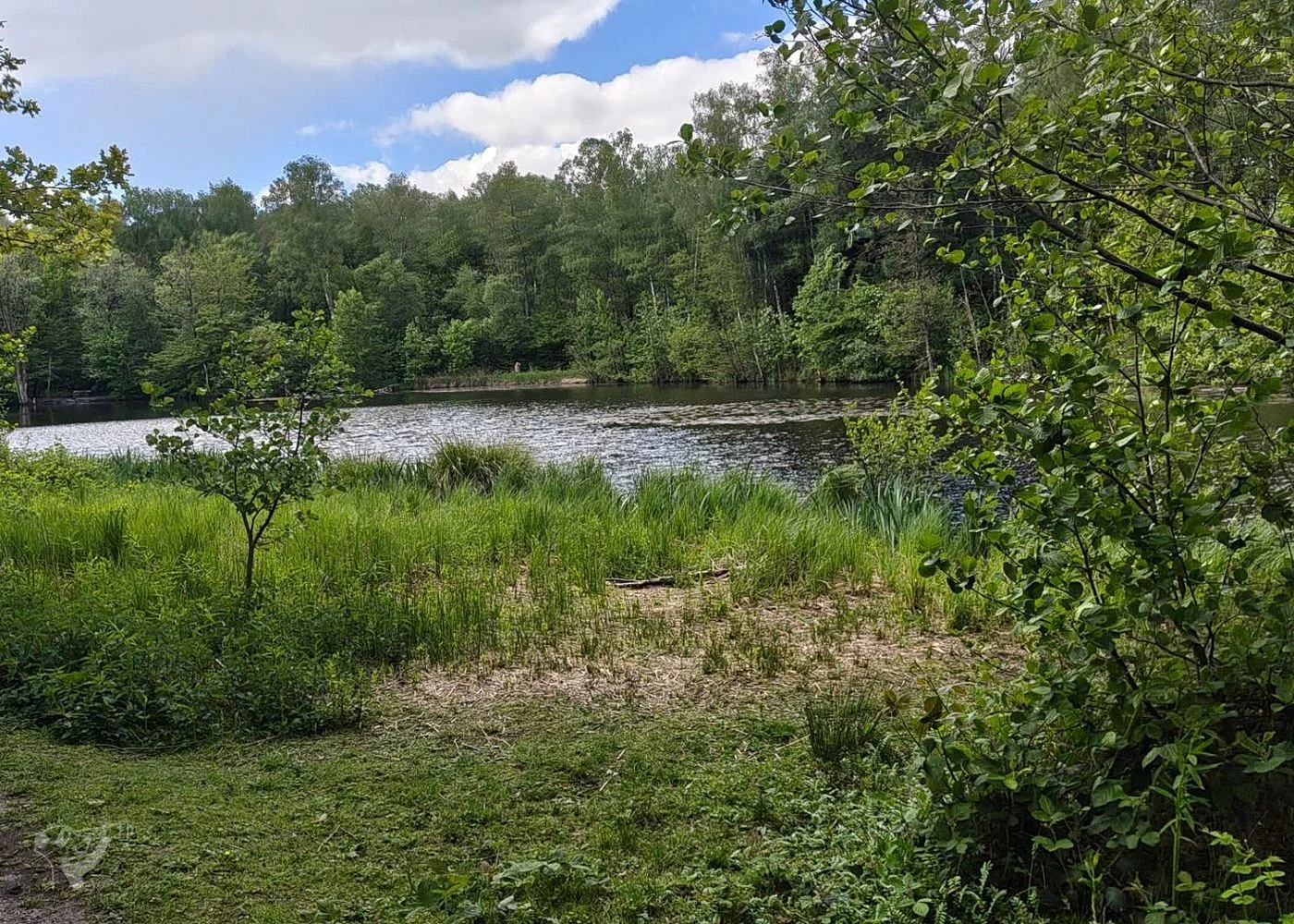 Naturschutzgebiet Raakmoor – Foto 8