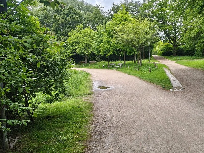 Eppendorfer Mühlenteich – Bild 14
