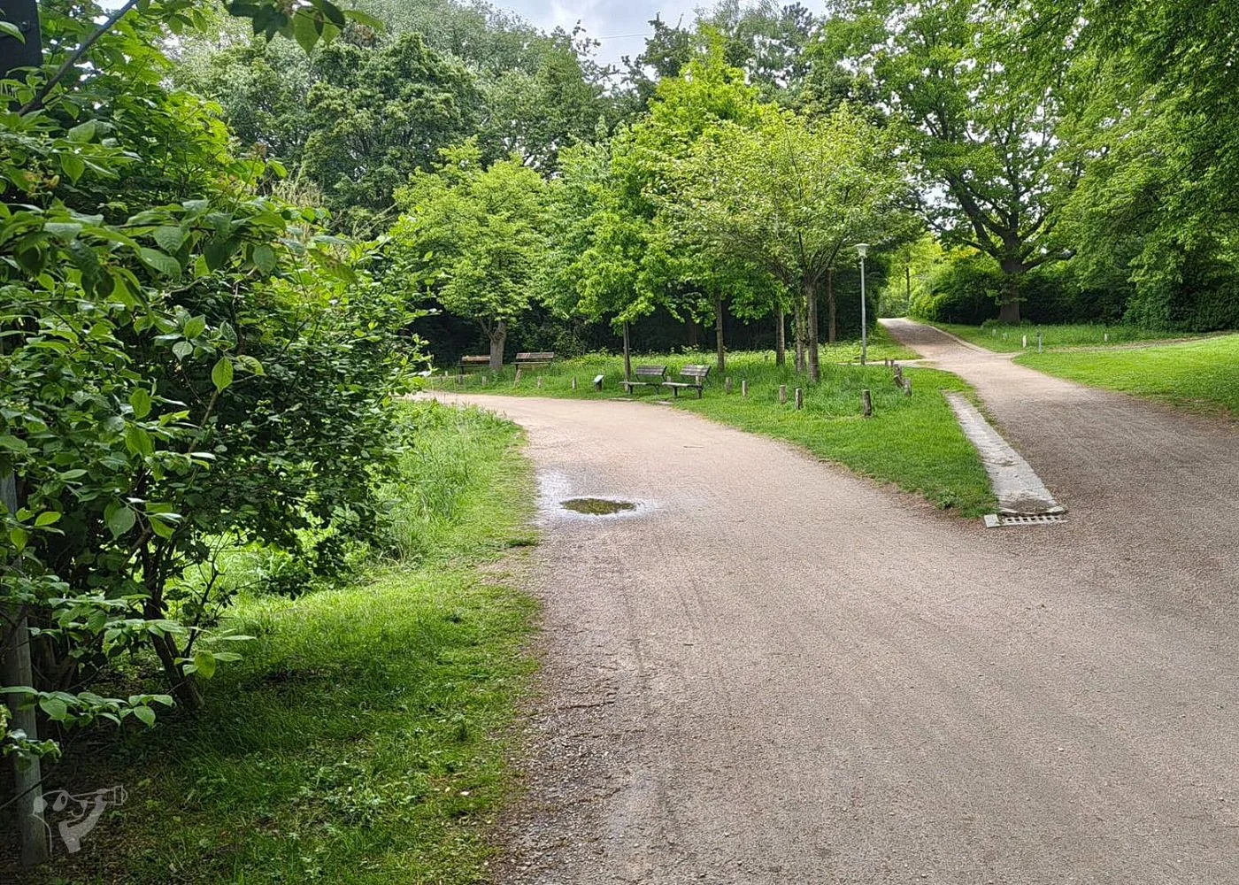 Eppendorfer Mühlenteich – Foto 13