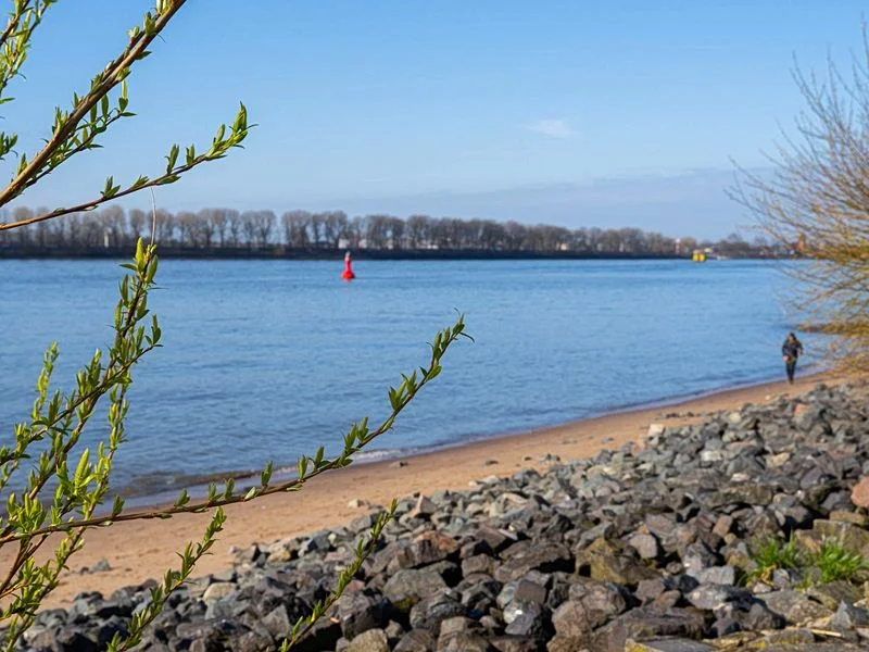 Elbstrand – Bild 4