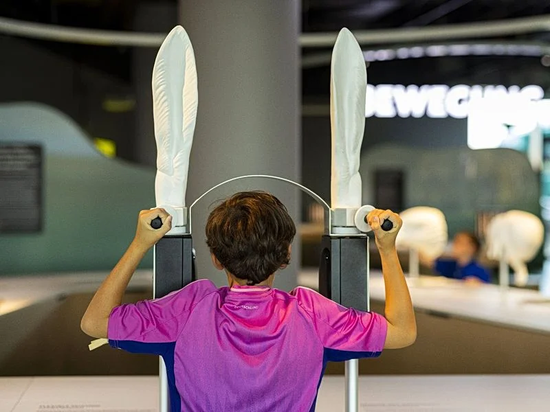 Botschaft der Wildtiere – Bild 2