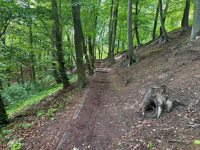 Bikepark Volkspark – Bild 10