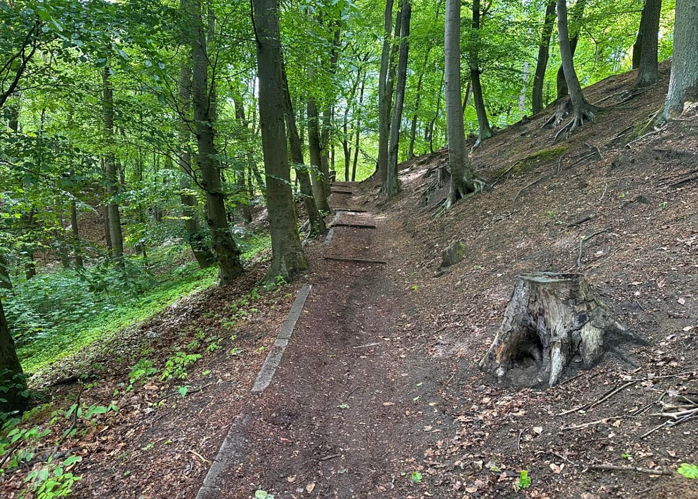 Bikepark Volkspark – Foto 5