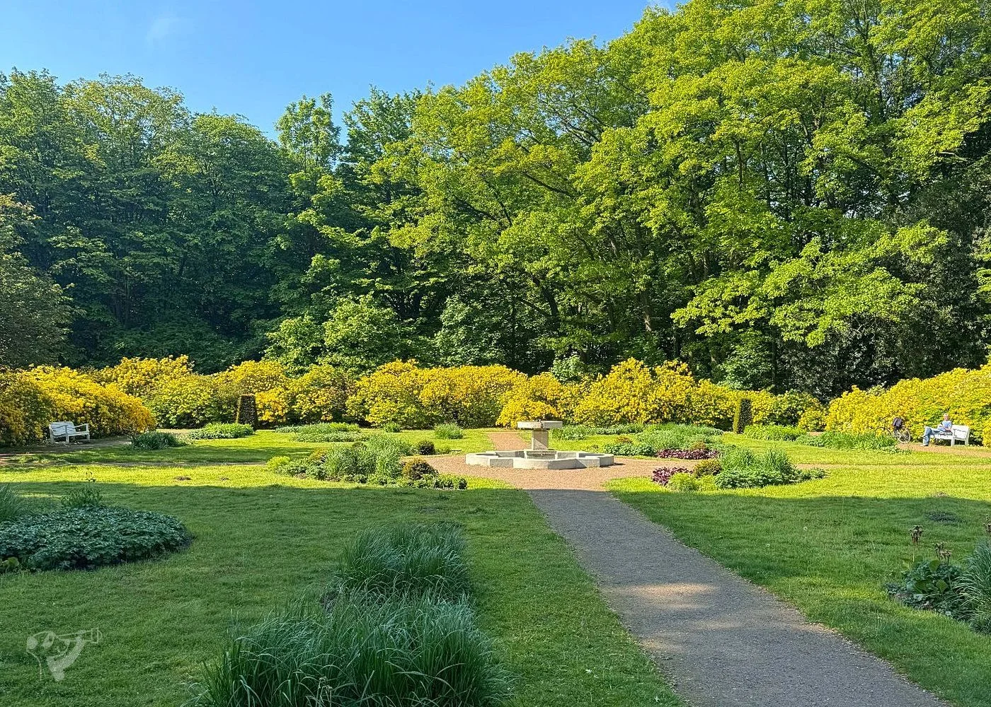 Hirschpark und Spielplatz – Foto 14