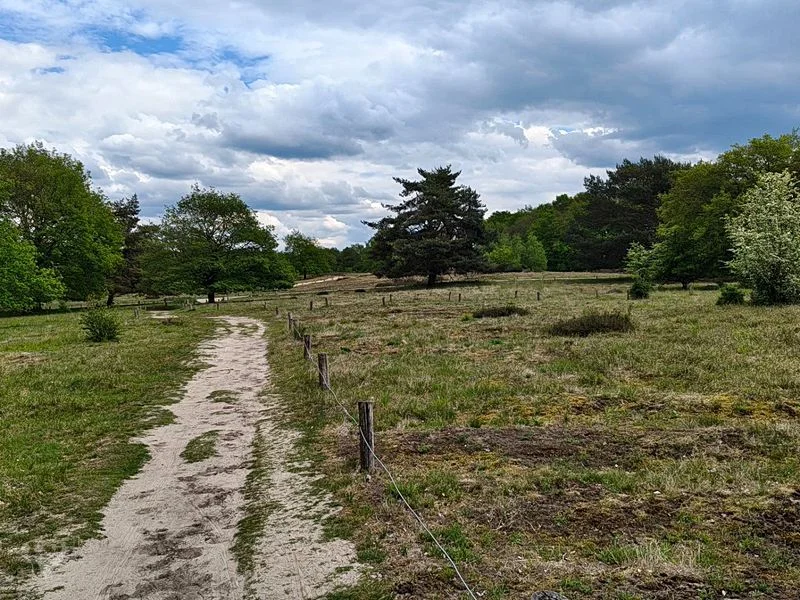 Boberger Niederung und Strand – Bild 18