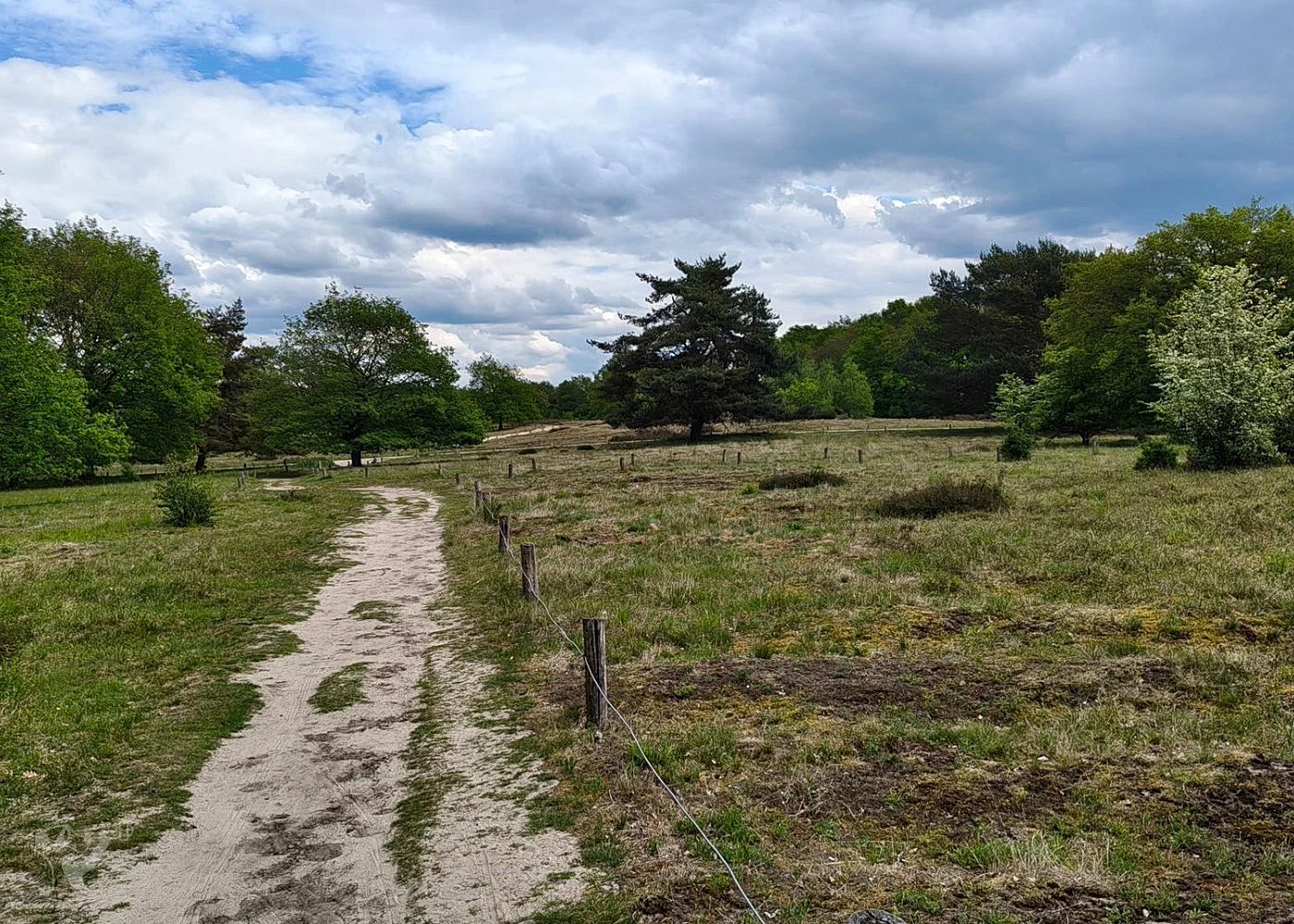 Boberger Niederung und Strand – Foto 18