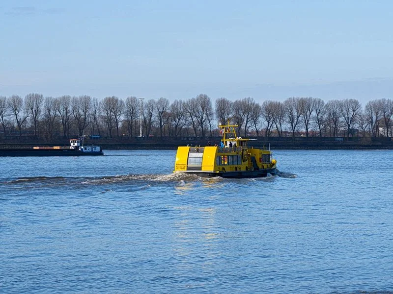 Elbstrand – Bild 3