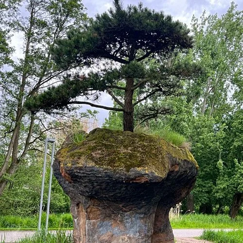 Heimatgarten - Kräuter entdecken