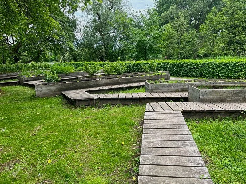 Heimatgarten - Kräuter entdecken