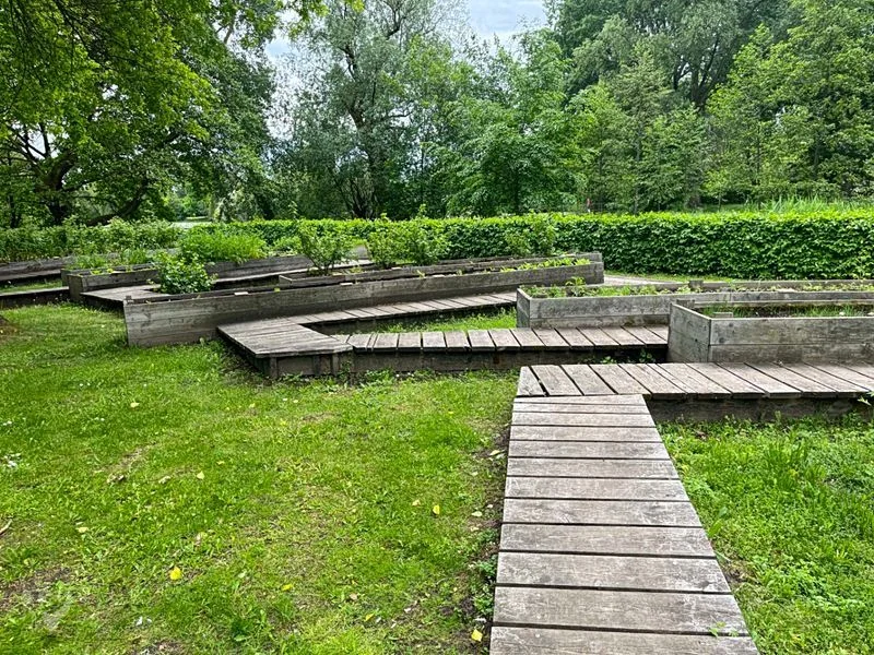 Heimatgarten - Kräuter entdecken – Bild 2