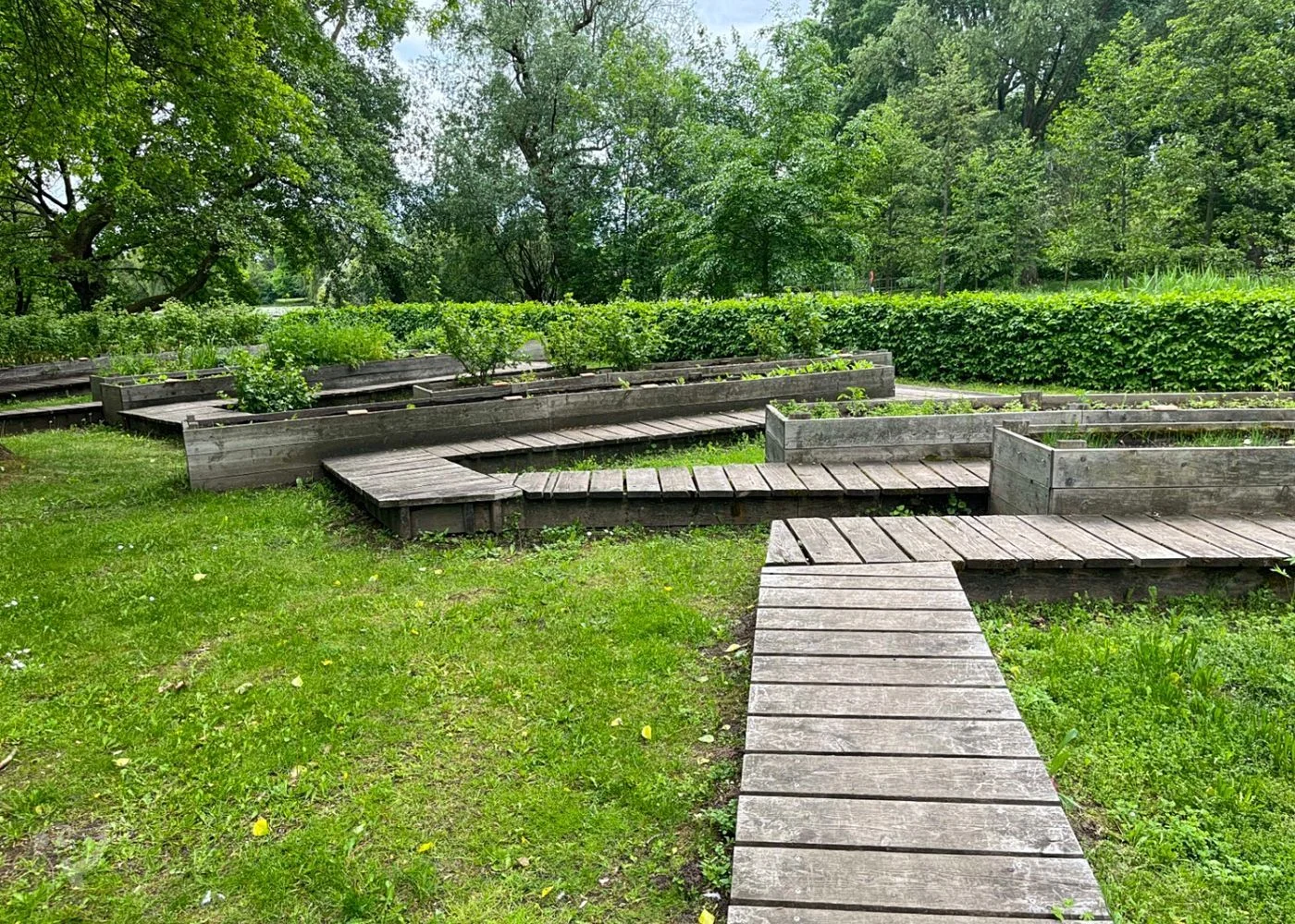 Heimatgarten - Kräuter entdecken – Foto 1