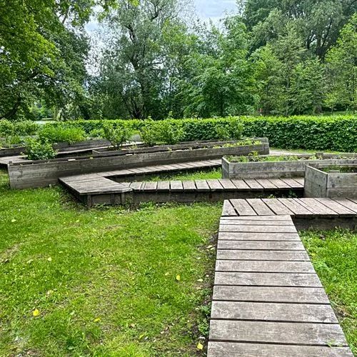 Heimatgarten - Kräuter entdecken