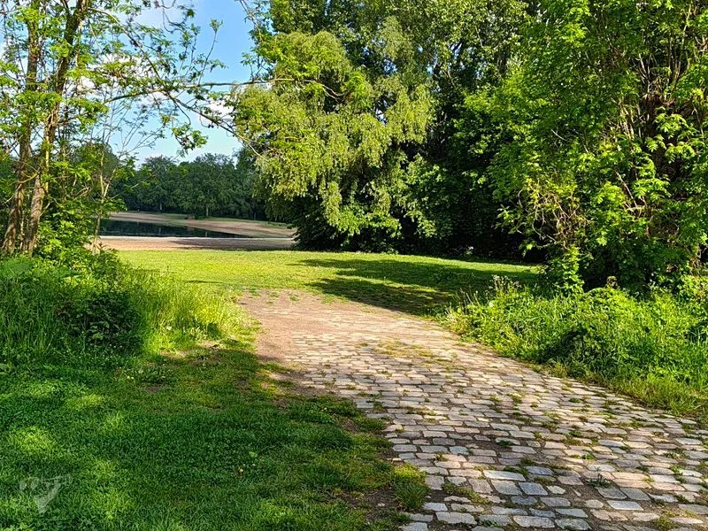 Wasserpark Dove-Elbe – Bild 4