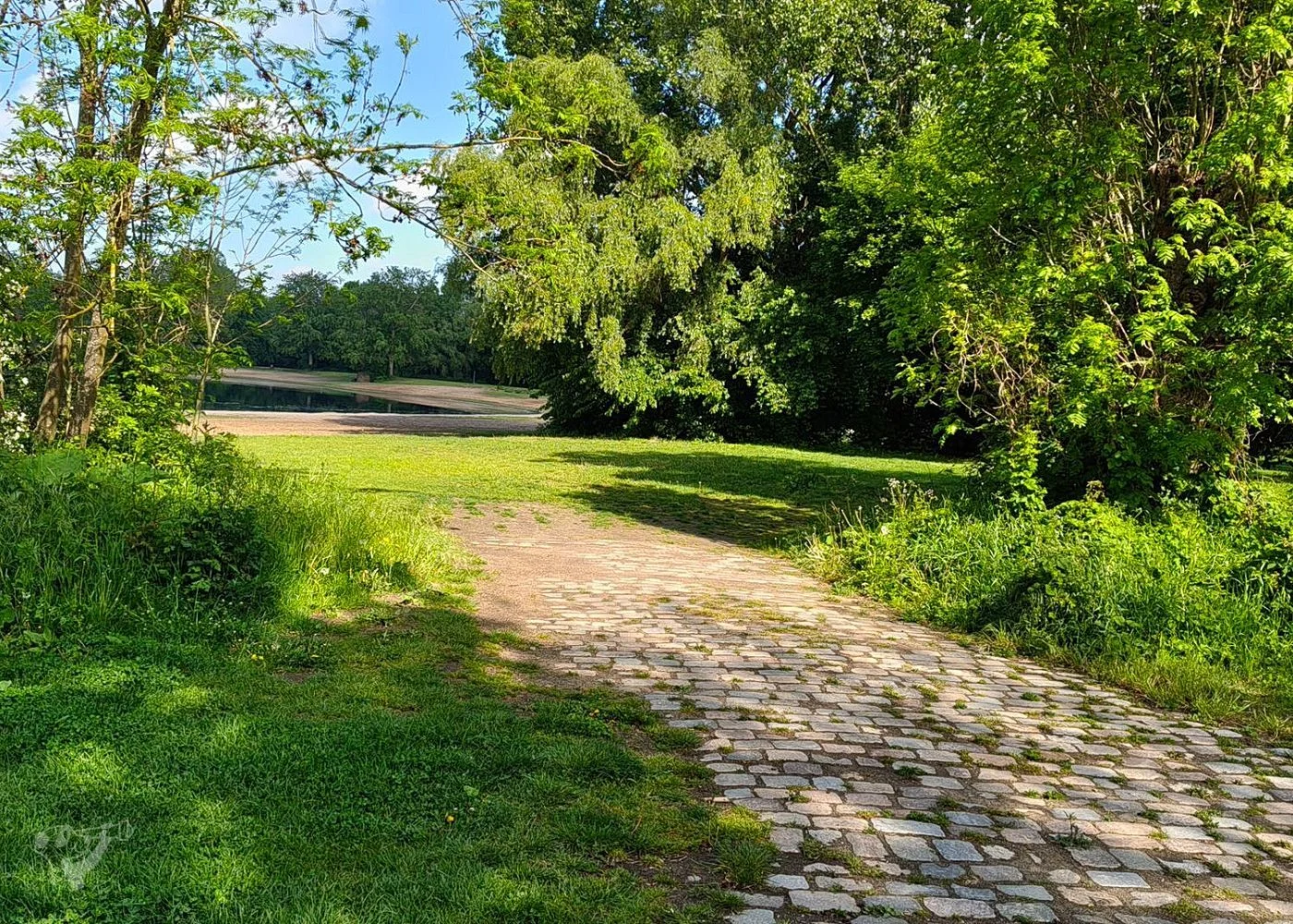 Wasserpark Dove-Elbe – Foto 4