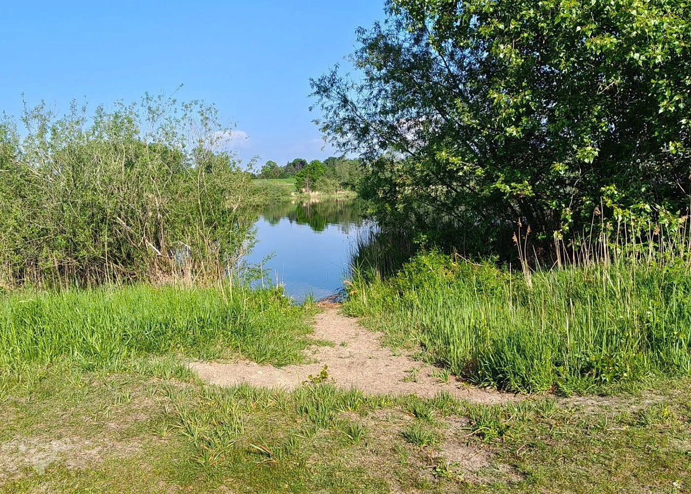 Hohendeicher See (Oortkatensee) – Foto 8