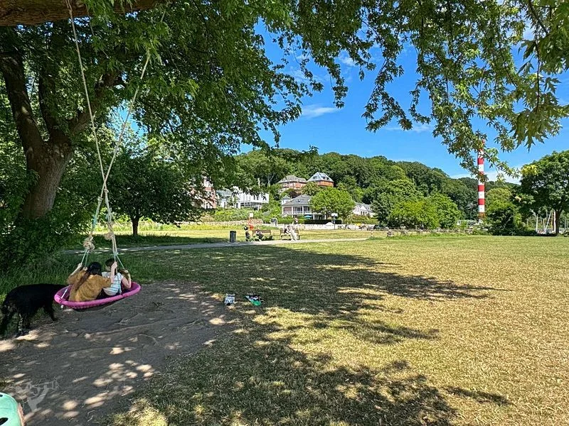 Baumschaukeln an der Elbe – Bild 14