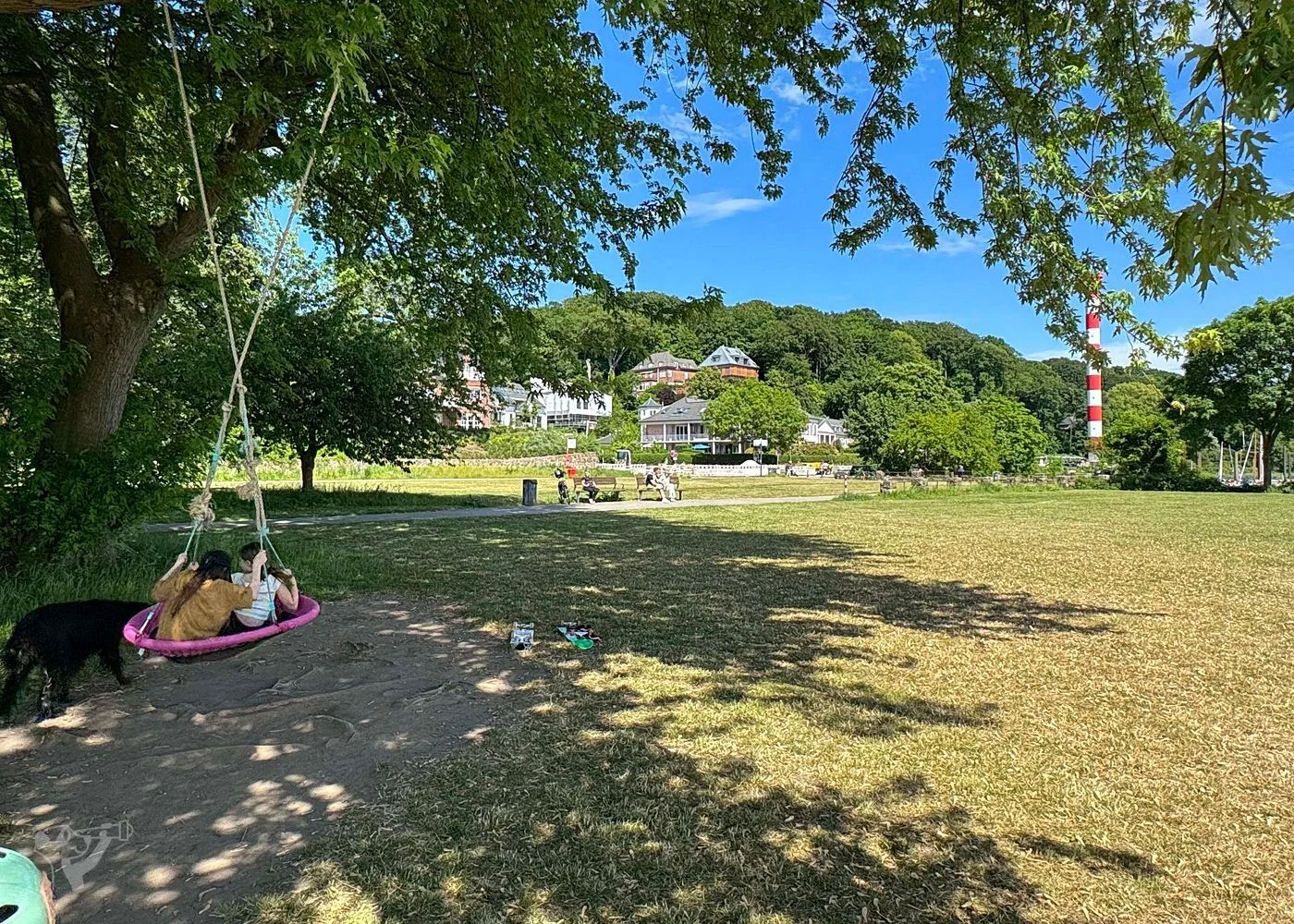 Baumschaukeln an der Elbe – Foto 14