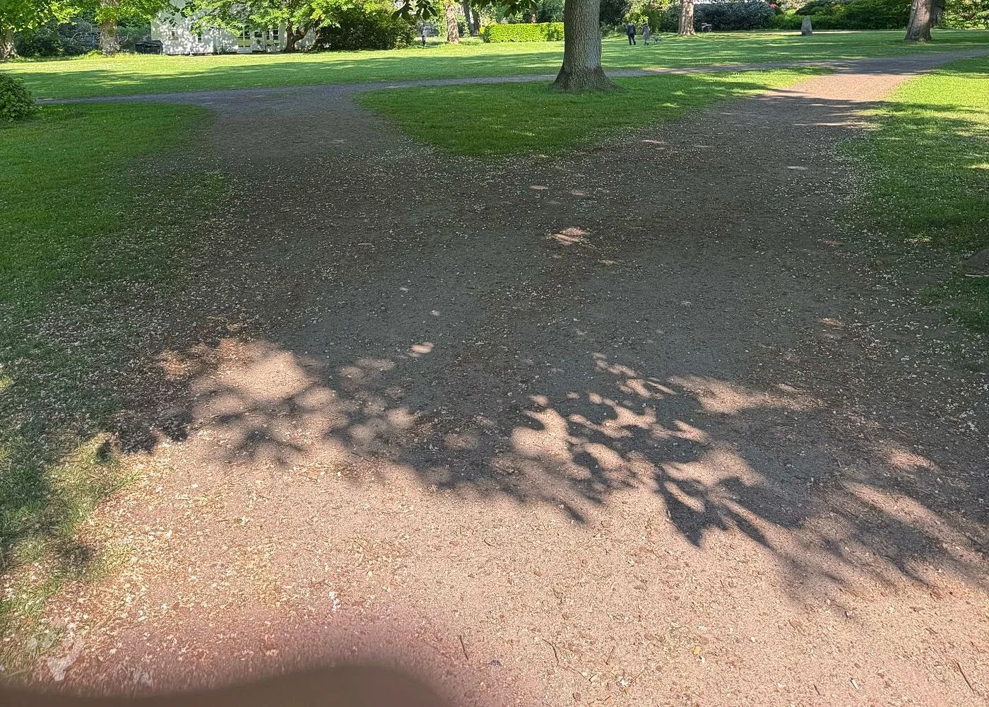 Hirschpark und Spielplatz – Foto 16