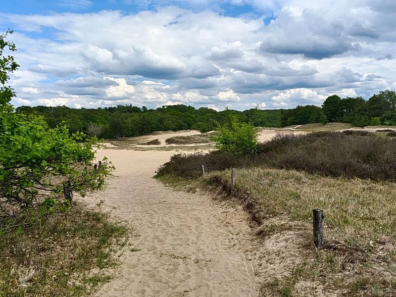 Boberger Dünen – Bild 8
