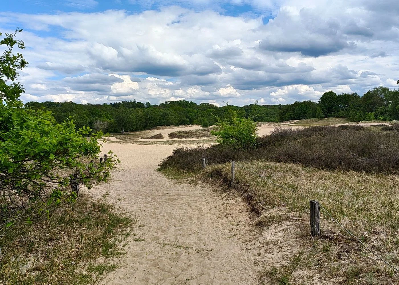 Boberger Dünen – Foto 8