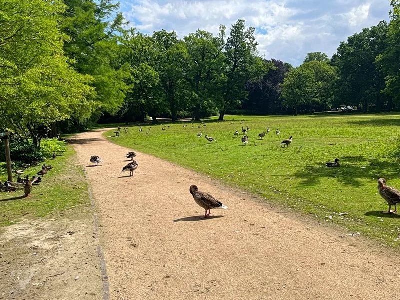 Eichenpark - Enten gucken – Bild 3