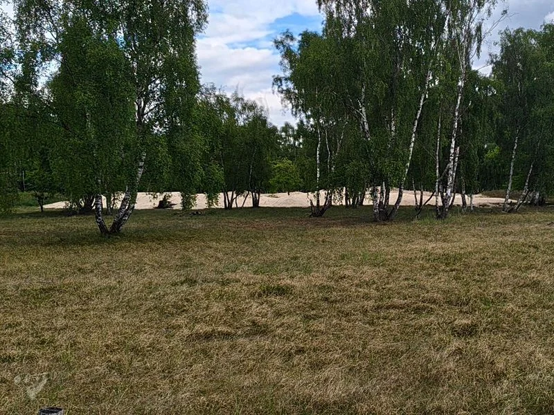 Boberger Dünen – Bild 6