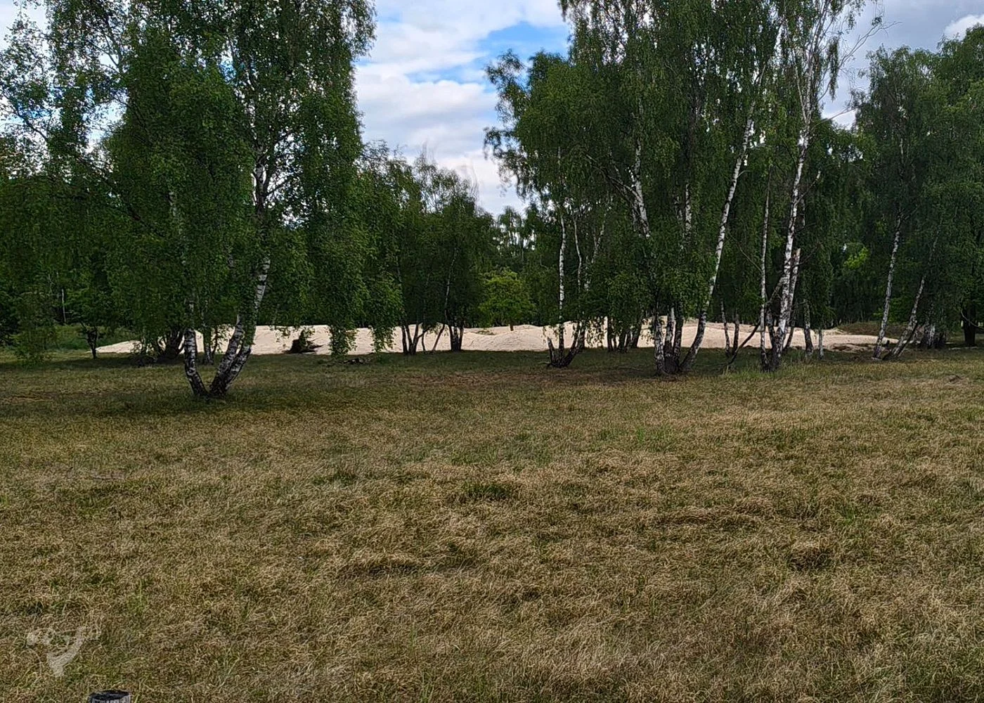 Boberger Dünen – Foto 6