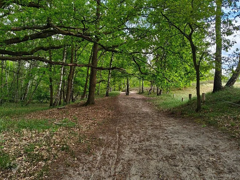 Boberger Niederung und Strand – Bild 17