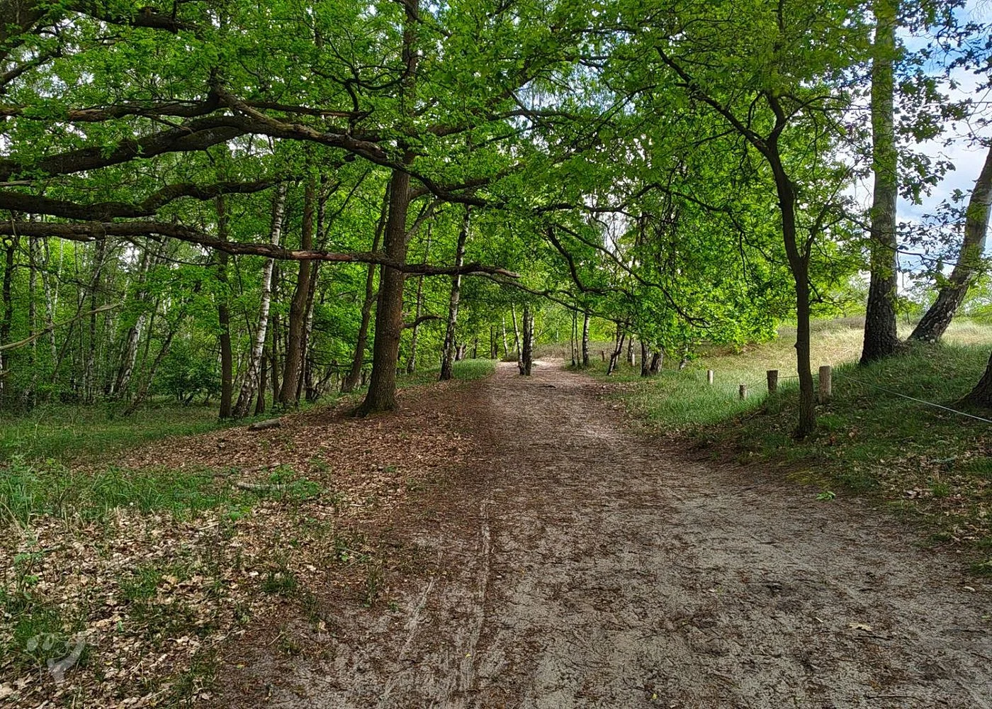Boberger Niederung und Strand – Foto 17