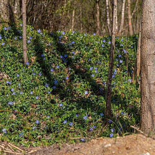 Naturschutzgebiet Höltingbaum
