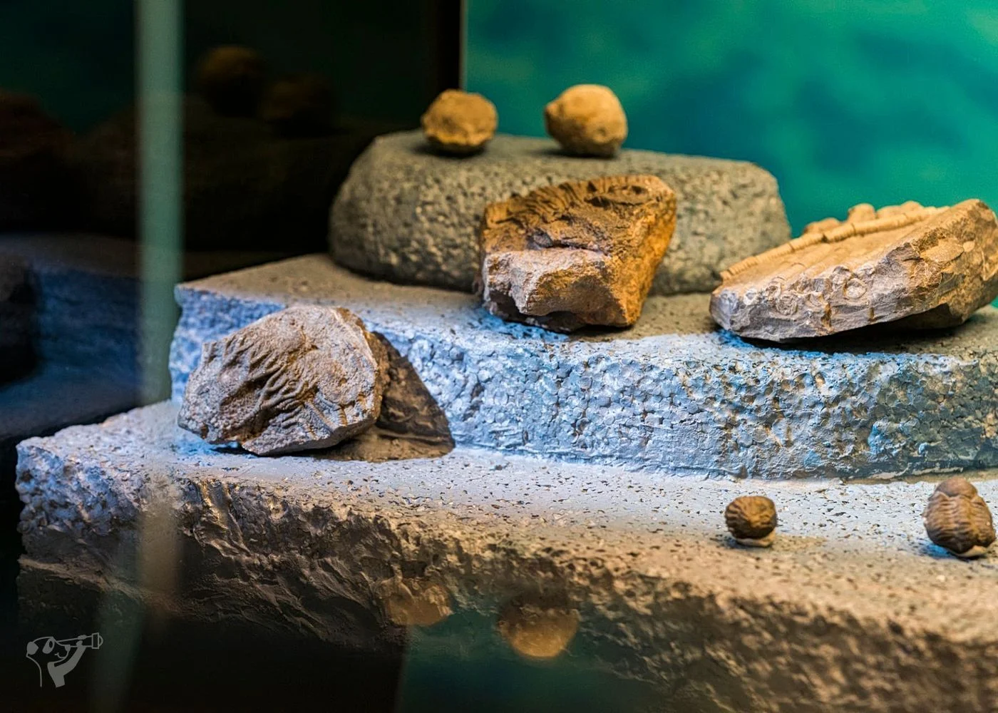 Museum der Natur · Geologische Ausstellung – Foto 4