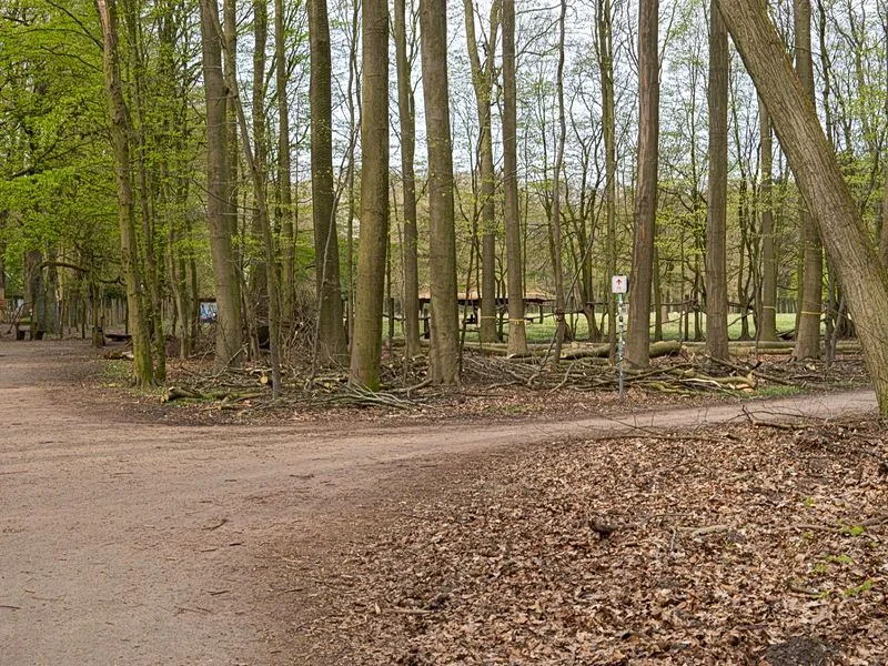 Niendorfer Gehege Lehrpfad – Bild 2