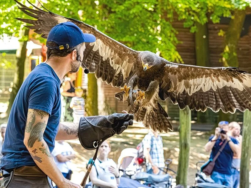 Wildpark Schwarze Berge – Bild 2