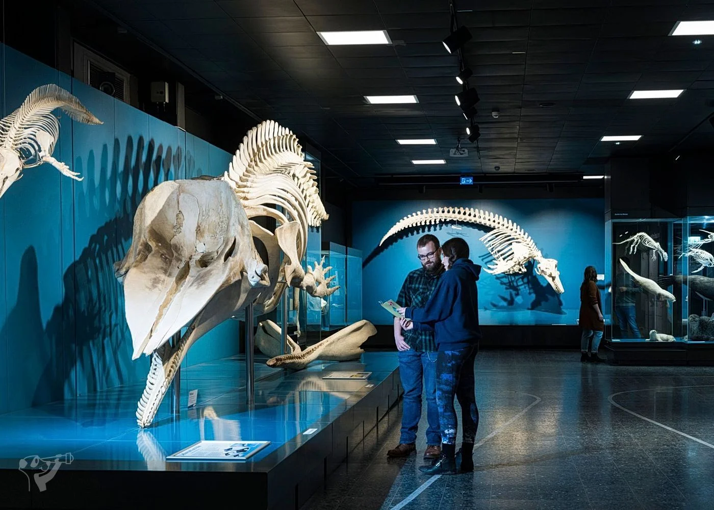 Museum der Natur · Zoologische Ausstellung – Foto 6