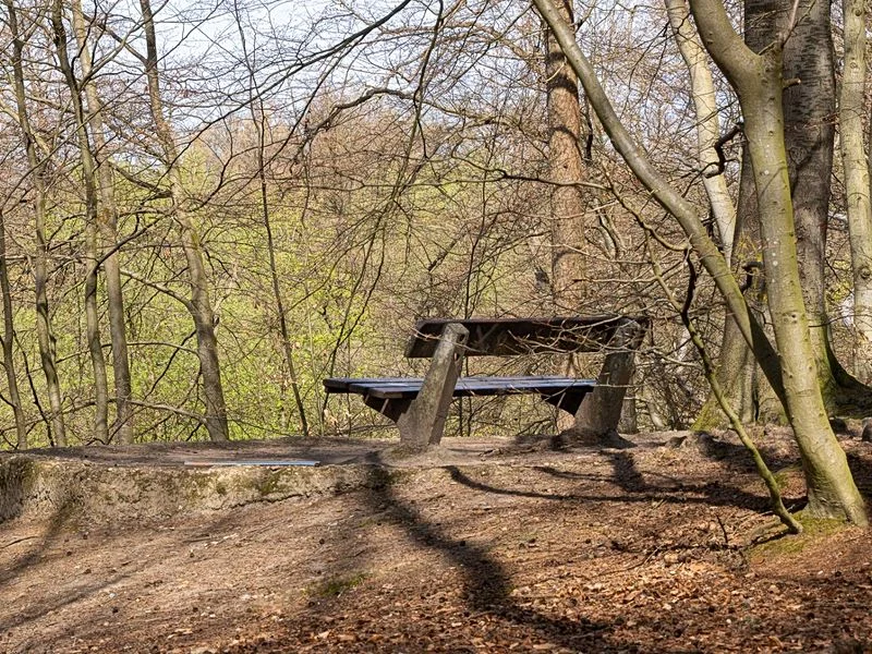 Drachenschlucht Wellingsbüttel – Bild 6