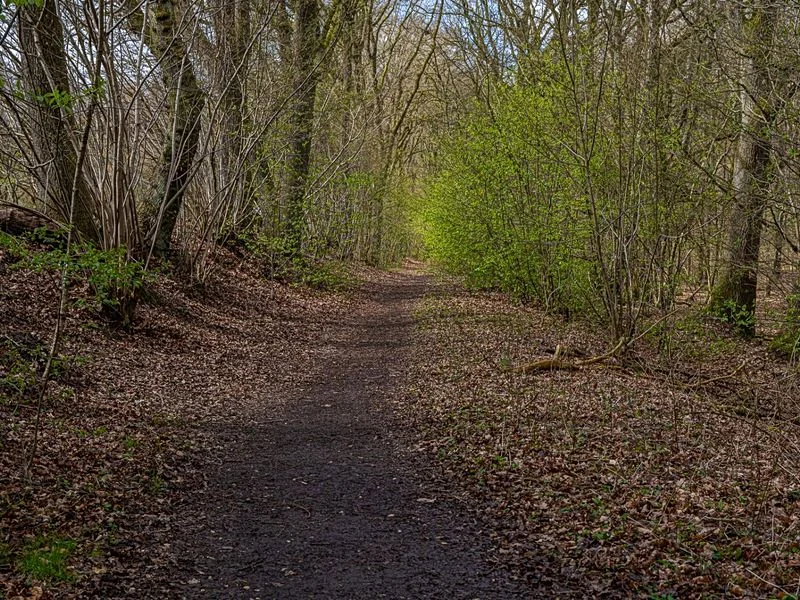 Naturschutzgebiet Höltingbaum – Bild 6
