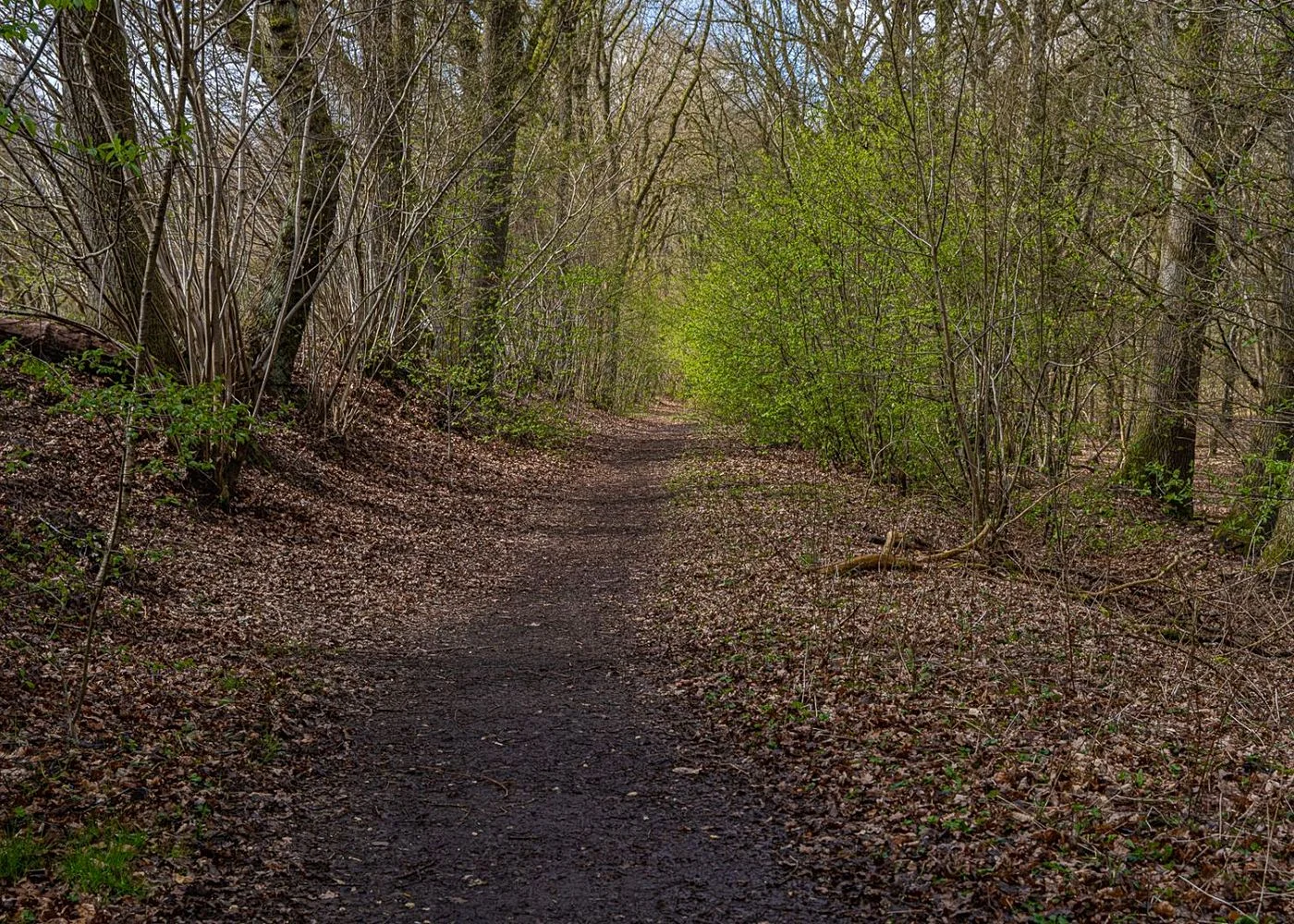 Naturschutzgebiet Höltingbaum – Foto 6