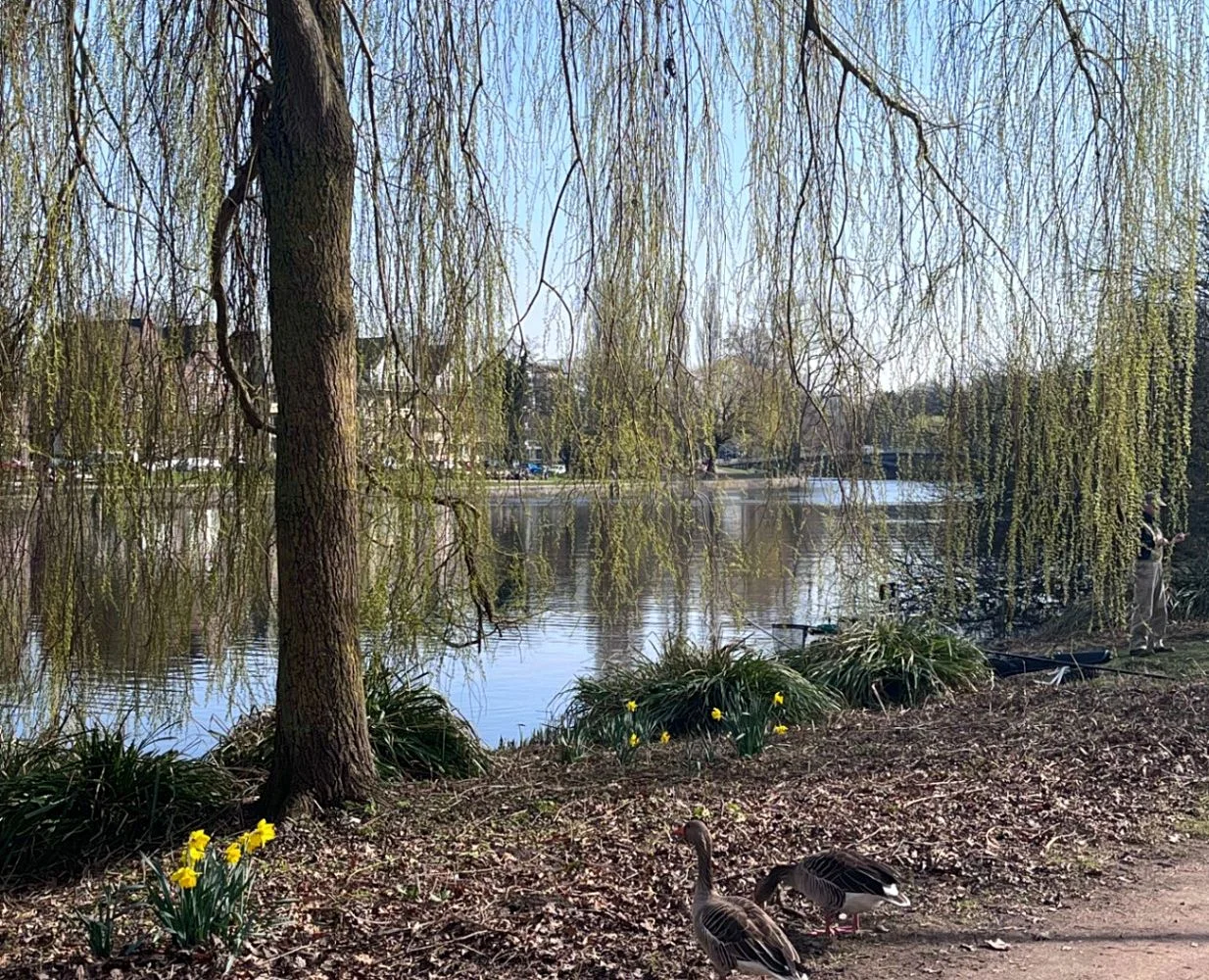 Hayns Park – Foto 6