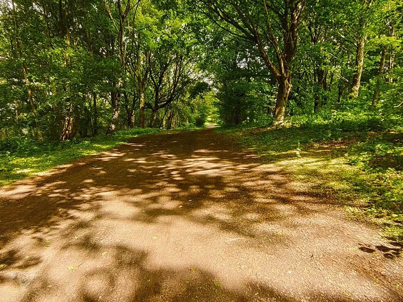 Öjendorfer Park – Bild 10