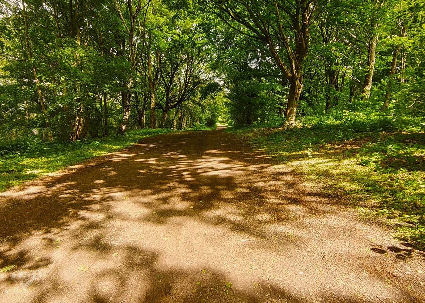 Öjendorfer Park – Foto 10