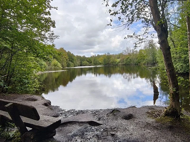 Naturschutzgebiet Raakmoor – Bild 5
